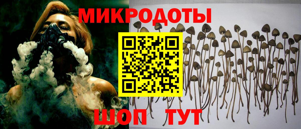 продажа наркотиков  Галлюциногенные грибы Psilocybine cubensis  Вход с VPN  Галлюциногенные грибы Psilocybe  Королёв 